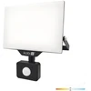 30W LED prožektorius su judesio davikliu DELYO MHNC, juodas, 4000K, IP54