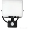 30W LED prožektorius su judesio davikliu DELYO MHNC, juodas, 6000K, IP54