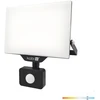 30W LED prožektorius su judesio davikliu DELYO MHNC, juodas, 6000K, IP54