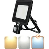 30W LED prožektorius su judesio davikliu MHC, juodas, 6500K, IP65
