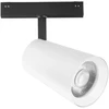 30W LED šviestuvas, montuojamas į DAVINCI sistemą, baltas, 3000K