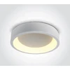 Lubinis šviestuvas 32W LED paviršinis šviestuvas, baltas, 2700/3000/4000K, 62132N/W/V