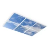 33W LED panelė PL PRINT SKY, baltu korpusu, 60x60cm, 6vnt. rinkinys