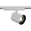 35W LED akcentinis šviestuvas į 3 fazių bėgelį, baltas, 4000K, DALI, 65660BTL/W/C