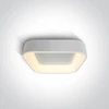 Lubinis šviestuvas 38W LED vidaus plafonas, baltas, 2700/3000/4000K, dimeriuojamas, 62132NA/W/V