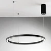 40W LED pakabinamas šviestuvas HOOP, juodas, CCT
