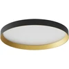 Lubinis šviestuvas 40W LED paviršinis šviestuvas DAMA, juodos/aukso sp., 3000/4000/5000K, 35cm, 01-3750