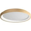 Lubinis šviestuvas 40W LED paviršinis šviestuvas ICONIC, matinės aukso sp., 3000/4000K, dimeriuojamas, 01-3906