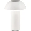 4,5W LED įkraunamas stalo šviestuvas MYKES, baltas, CCT, dimeriuojamas