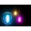 4,5W LED lemputė SMART+ Filament Globe RGBW 30, E27, 2700K