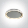 Lubinis šviestuvas 48W LED plafonas, baltas, 2700/3000/4000K, 62148L/W/V