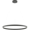 50W LED pakabinamas šviestuvas FEBE, juodas, 3000K, dimeriuojamas, 01-2873