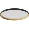 50W LED paviršinis/pakabinamas šviestuvas DAMA, juodos/aukso sp., 3000/4000/5000K, 60cm, 01-3751