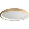Lubinis šviestuvas 50W LED paviršinis šviestuvas ICONIC, matinės aukso sp., 3000/4000K, dimeriuojamas, 01-3909