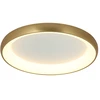 Lubinis šviestuvas 50W LED paviršinis šviestuvas, matinės aukso sp., 3000K, dimeriuojamas, 2050