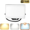 50W LED prožektorius DELYO MHN, juodas, 6000K, IP65