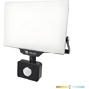 50W LED prožektorius su judesio davikliu DELYO MHNC, juodas, 4000K, IP54