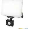 50W LED prožektorius su judesio davikliu DELYO MHNC, juodas, 6000K, IP54