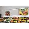 50W TRUSYS linijinių šviestuvų sistemos šviestuvas FLEX WALLWASHER, baltas, 6500K, DALI