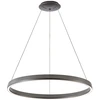 53W LED pakabinamas šviestuvas VENUS, tamsiai pilkas, 3000/4000K, 4342600