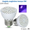 5W Augalų auginimo lempa