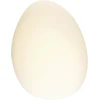 5W LED sieninis šviestuvas, baltas, 3000K, 20136