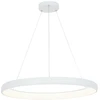 60W LED pakabinamas šviestuvas, baltas, 3000K, dimeriuojamas, 2061