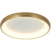 Lubinis šviestuvas 60W LED paviršinis šviestuvas, aukso sp., 3000K, dimeriuojamas, 2058