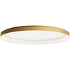 Lubinis šviestuvas 60W LED paviršinis šviestuvas NOBU, matinės aukso sp., 3000/4000K, dimeriuojamas, 01-3807
