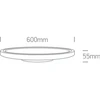 Lubinis šviestuvas 60W LED plafonas, baltas, 4000K, 62160FB/W/C