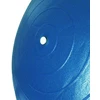 65 cm "Profit" gimnastikos kamuolys su pompa DK 2102