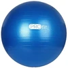 65 cm "Profit" gimnastikos kamuolys su pompa DK 2102
