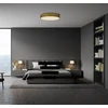 67W LED lubinis šviestuvas ISIA, aukso sp., 2700/3000/4000K, dimeriuojamas, P3453272OTDT