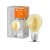 6W LED lemputė SMART WiFi, E27, 2400K, dimeriuojama
