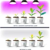 7W LED augalų auginimo lemputė PLANTY, E27, juoda, 1200K