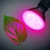 7W LED augalų auginimo lemputė PLANTY, E27, juoda, 1200K