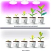 7W LED augalų auginimo lemputė PLANTY, E27, balta, 1200K