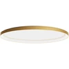 Lubinis šviestuvas 80W LED paviršinis šviestuvas NOBU, matinės aukso sp., 3000/4000K, dimeriuojamas, 01-3810