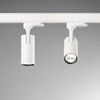 8W LED akcentinis šviestuvas į 1 fazės bėgelį FOX, baltas, 3000K, 371924