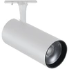 8W LED akcentinis šviestuvas į 1 fazės bėgelį FOX, baltas, 3000K, 371924