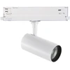 8W LED akcentinis šviestuvas į 3 fazių bėgelį FOX, baltas, 3000K, dimeriuojamas, 302546