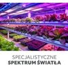 8W LED augalų auginimo lemputė PLANTY, E27, skaidri, 1200K