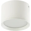 Lubinis šviestuvas 8W LED paviršinis lubų šviestuvas, baltas, 3000K, 22133