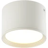 Lubinis šviestuvas 8W LED paviršinis lubų šviestuvas, baltas, 3000K, 22133