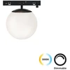 8W LED šviestuvas į magnetinius bėgelius MICRO MAGNETIC, juodas, 3000K, dimeriuojamas, 4316100