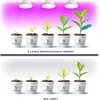 9W LED augalų auginimo lemputė PLANTY, E27, balta, 1200K