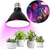9W LED augalų auginimo lemputė PLANTY, E27, juoda, 1200K