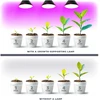 9W LED augalų auginimo lemputė PLANTY, E27, juoda, 1200K
