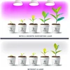 9W LED augalų auginimo lemputė PLANTY, E27, balta, 1200K