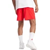adidas Aeroready Essentials Chelsea Small Logo M IC9394 šortai